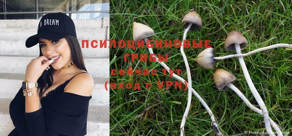 экстази Абаза