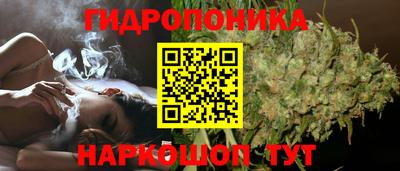 молекула духа Малгобек