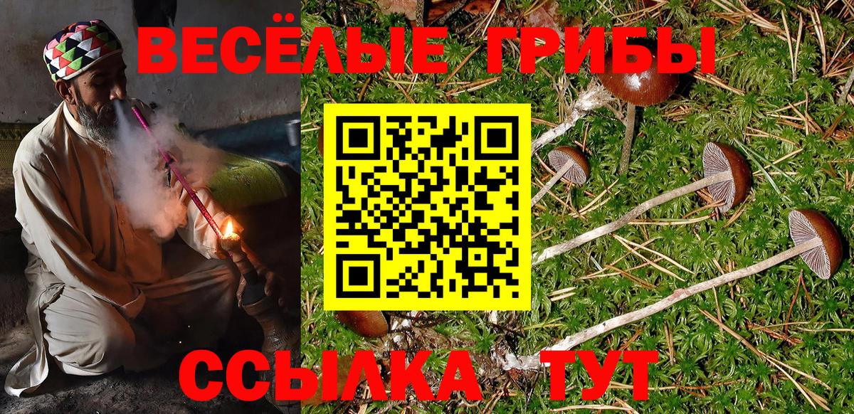 Галлюциногенные грибы мицелий Ярославль